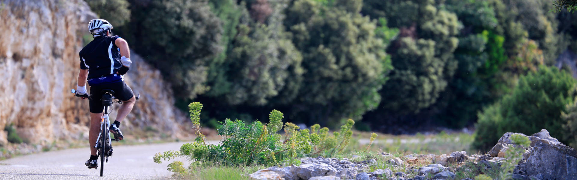 Cycling tours in the Alps